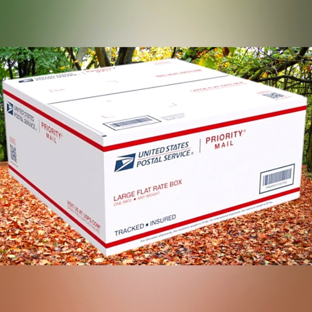 Value Mystery Unboxing Resale 6 Piece‎s Women’s Clothing Package M-L